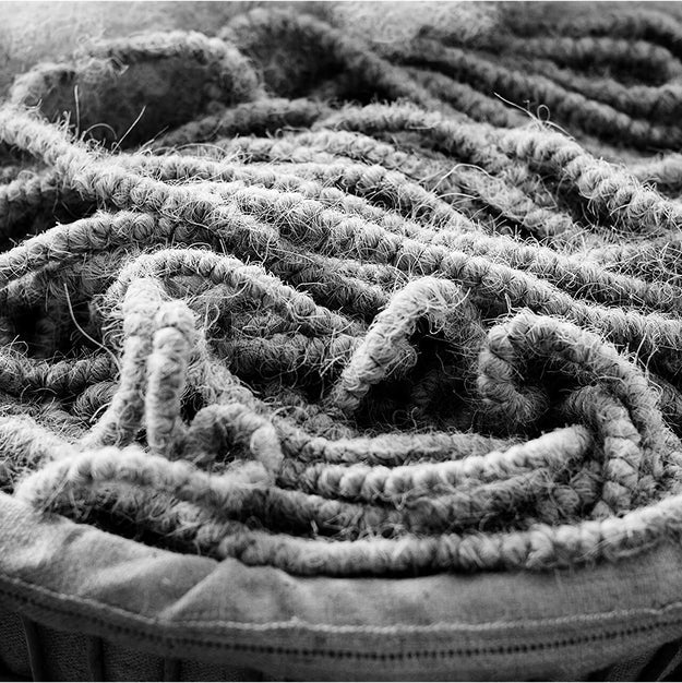 Close-up featuring horsehair tresses