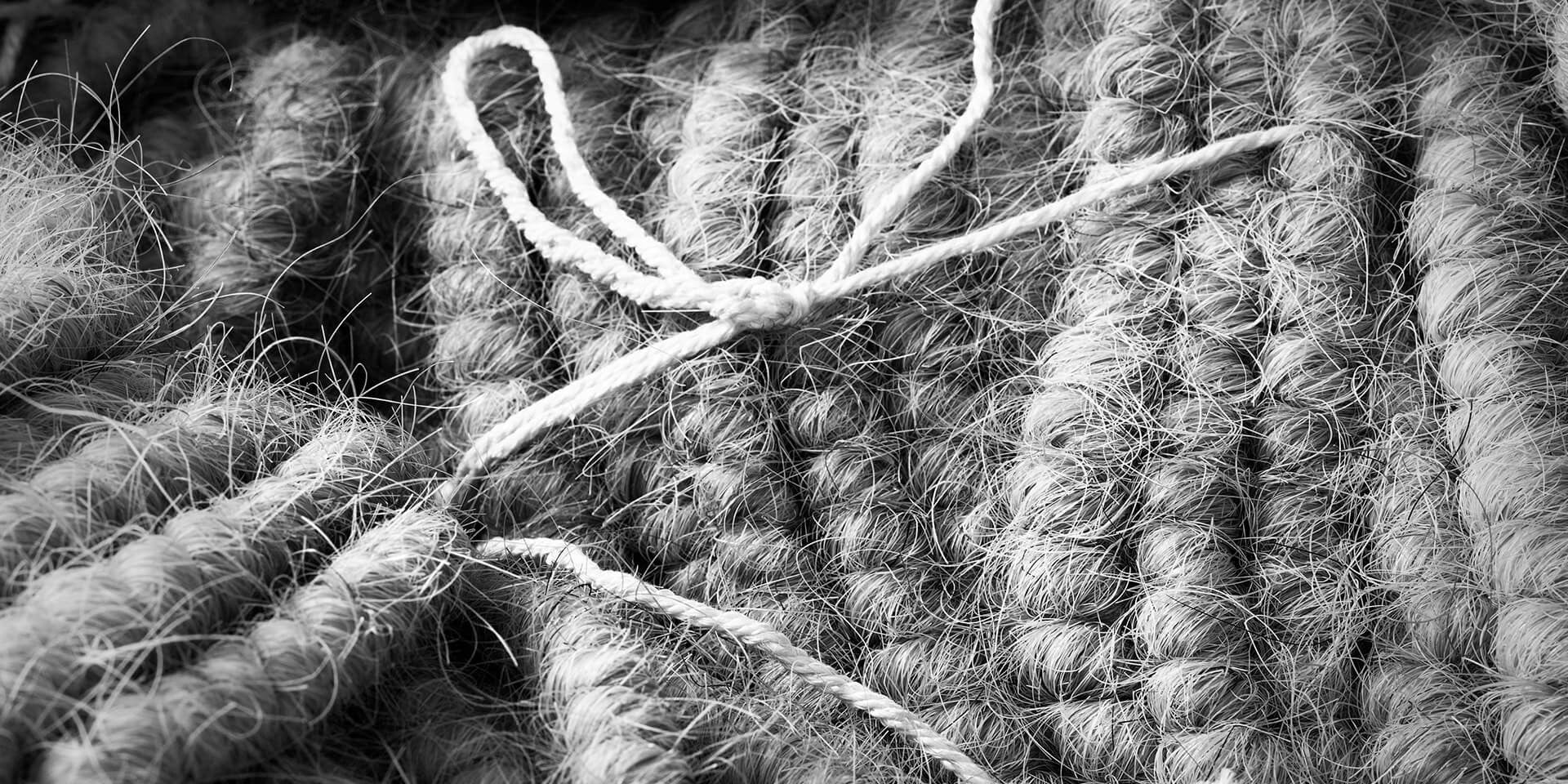 Picture of string